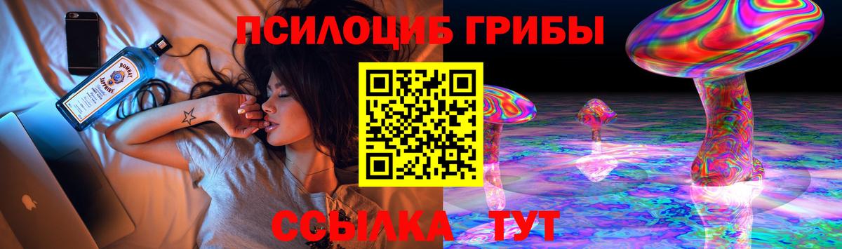 Белебей  Галлюциногенные грибы Psilocybine cubensis  Вход с VPN 